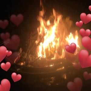 Meet your Posher, Vickie